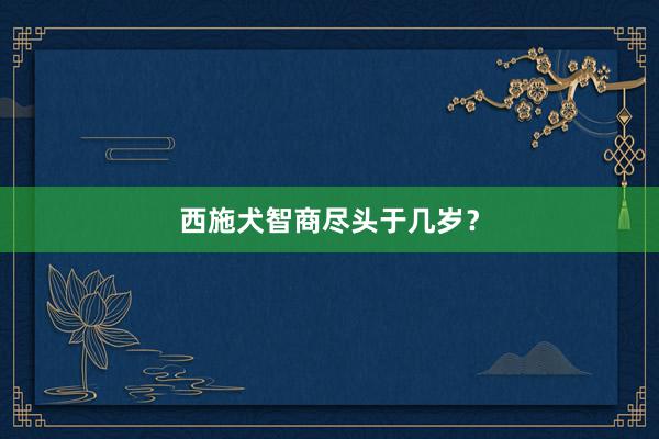 西施犬智商尽头于几岁？