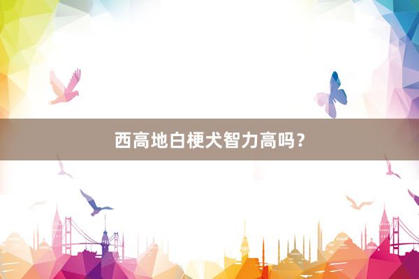 西高地白梗犬智力高吗？