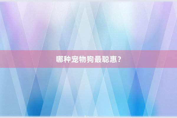 哪种宠物狗最聪惠？